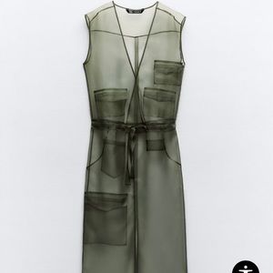 Semi Sheer Organza Dress